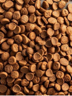 Slow-Baked Kibble for Cats