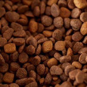 Square extruded kibble